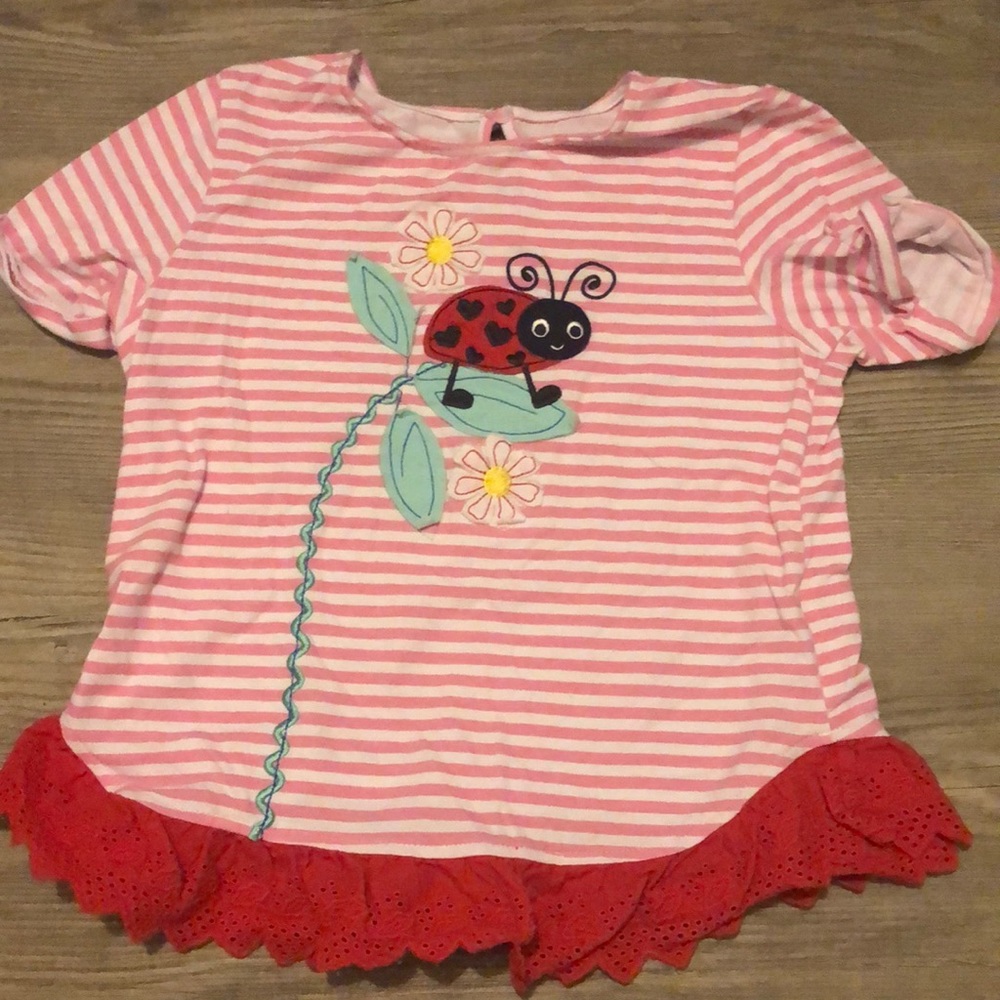 Cute little Ladybug shirt.